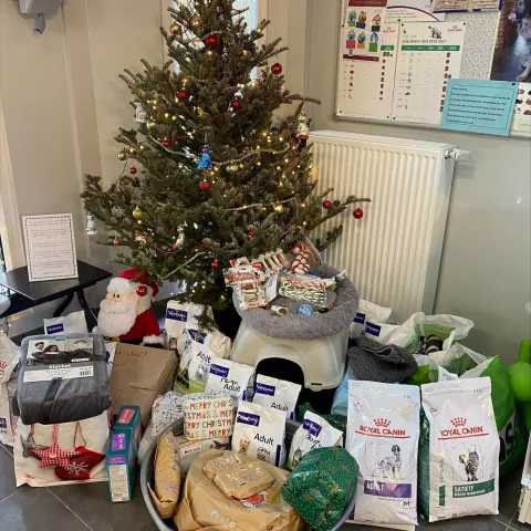Merci pour vos dons de Noël !