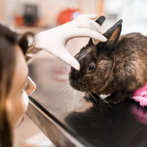 Check-up complet pour notre patient du jour.
