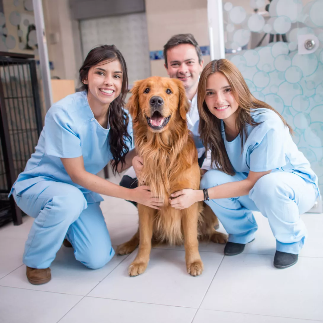 iStock-521072827.jpg