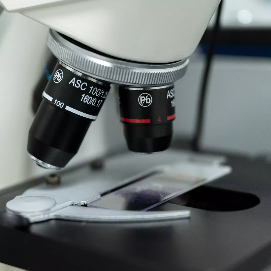 Microscope optique - Laboratoire bis .jpg