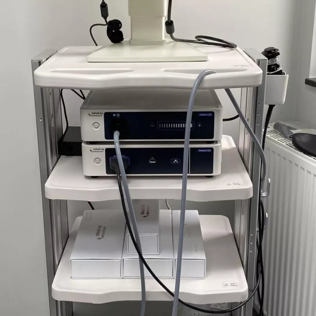 Endoscope.jpg